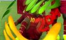 【2014世界杯】托马斯穆勒为争点血流满面弹幕视频网 