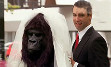 外国男子和大猩猩结婚
