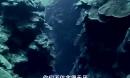 姜文公益影片《大自然在说话》“海洋”篇
